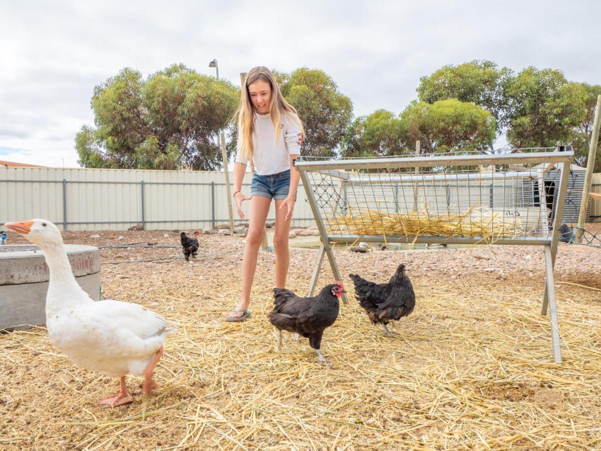Wallaroo Holiday Park Buitenkant foto