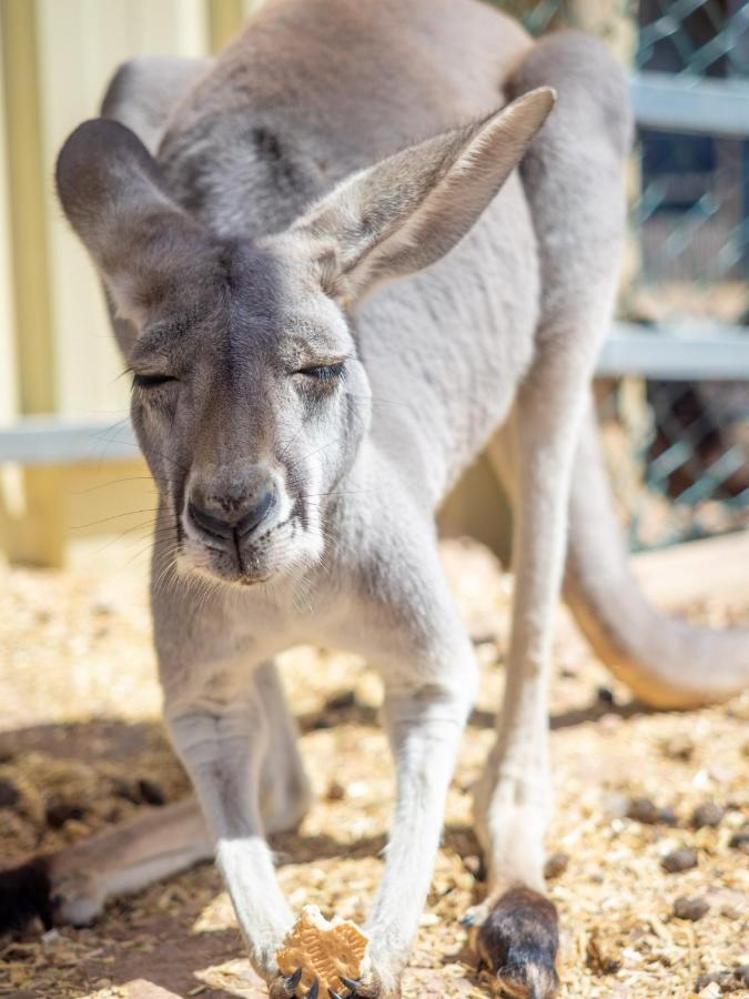 Wallaroo Holiday Park Buitenkant foto